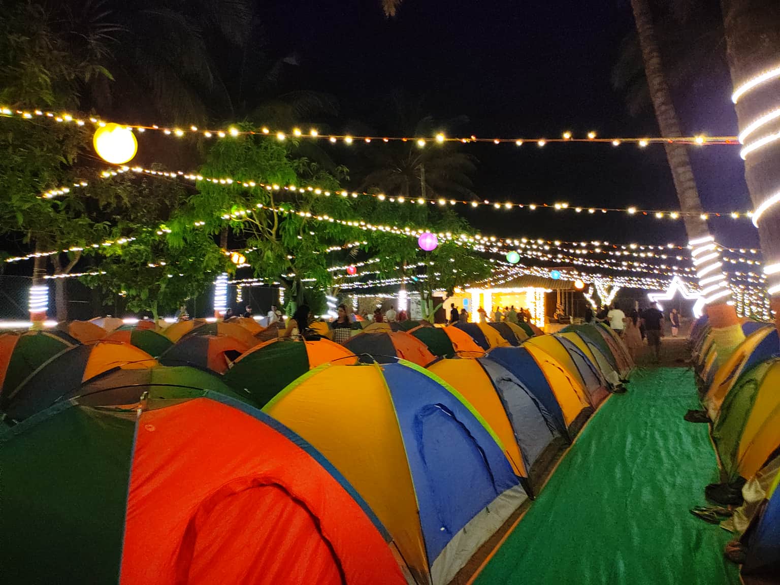 Photo from Ankita Dolas's trip