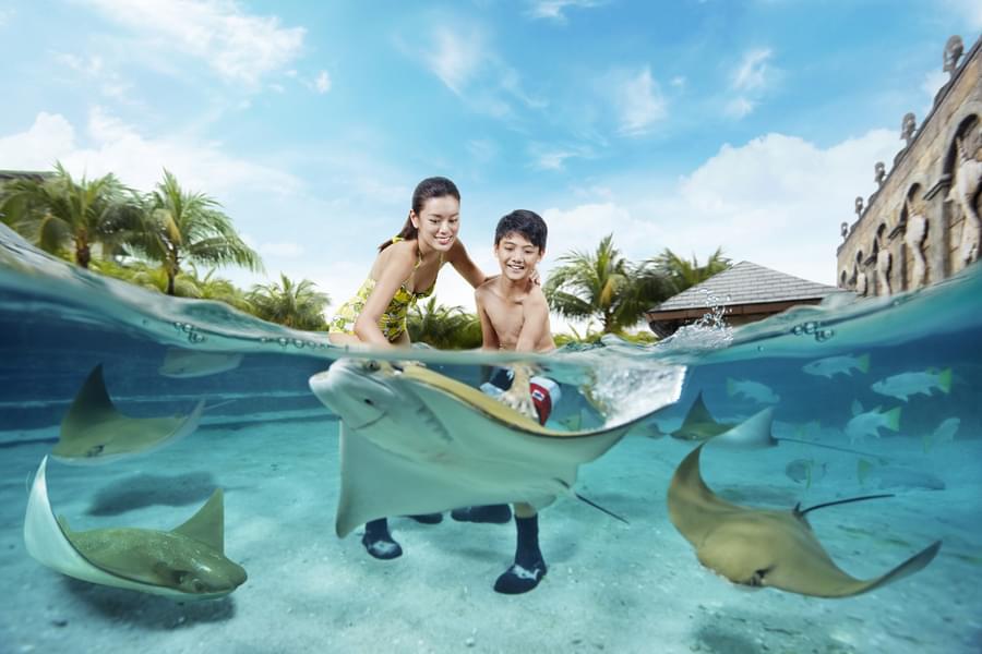 Admire the majestic aquatic life with your kids