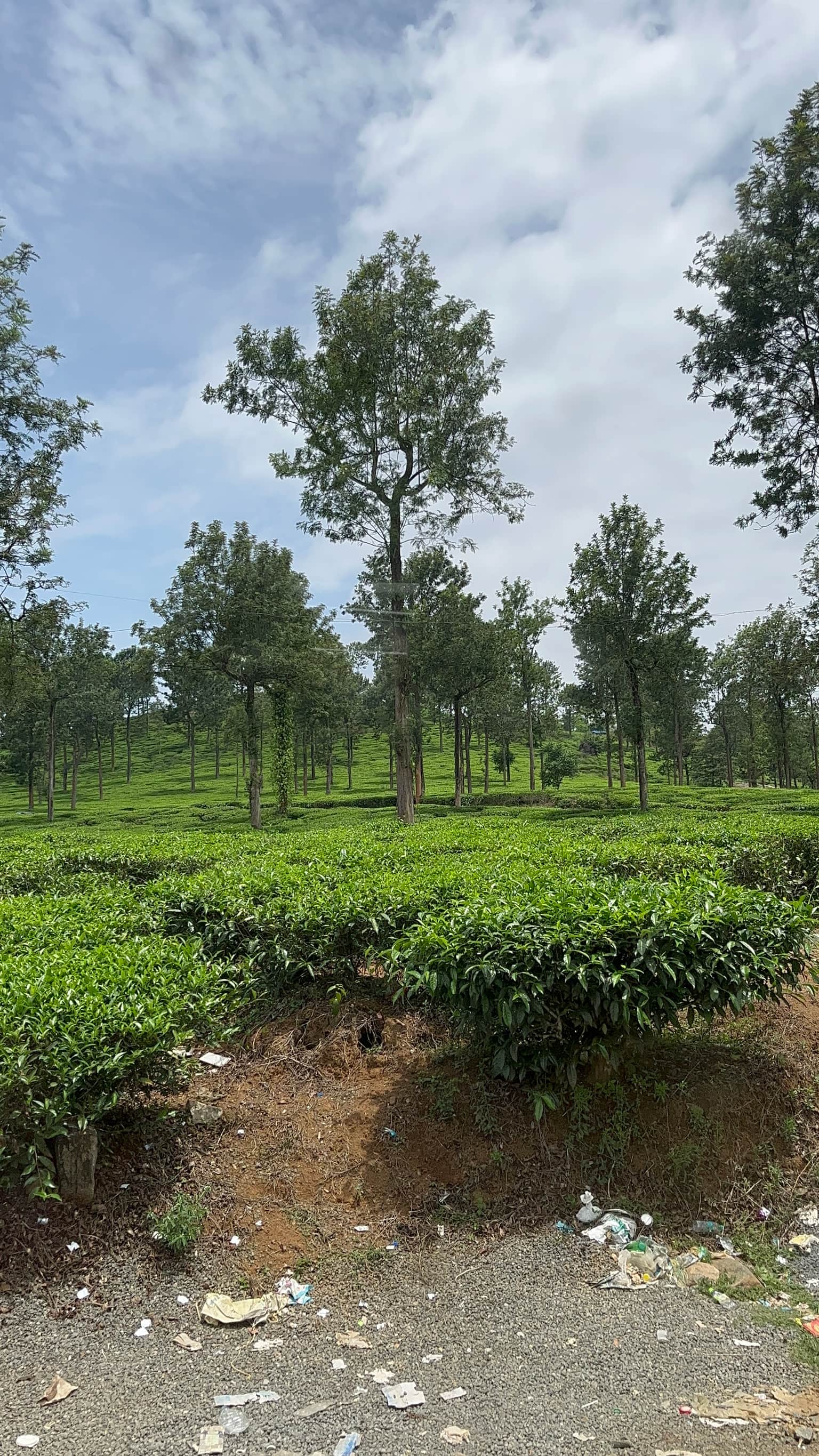 Photo from Pragati Pragati's trip
