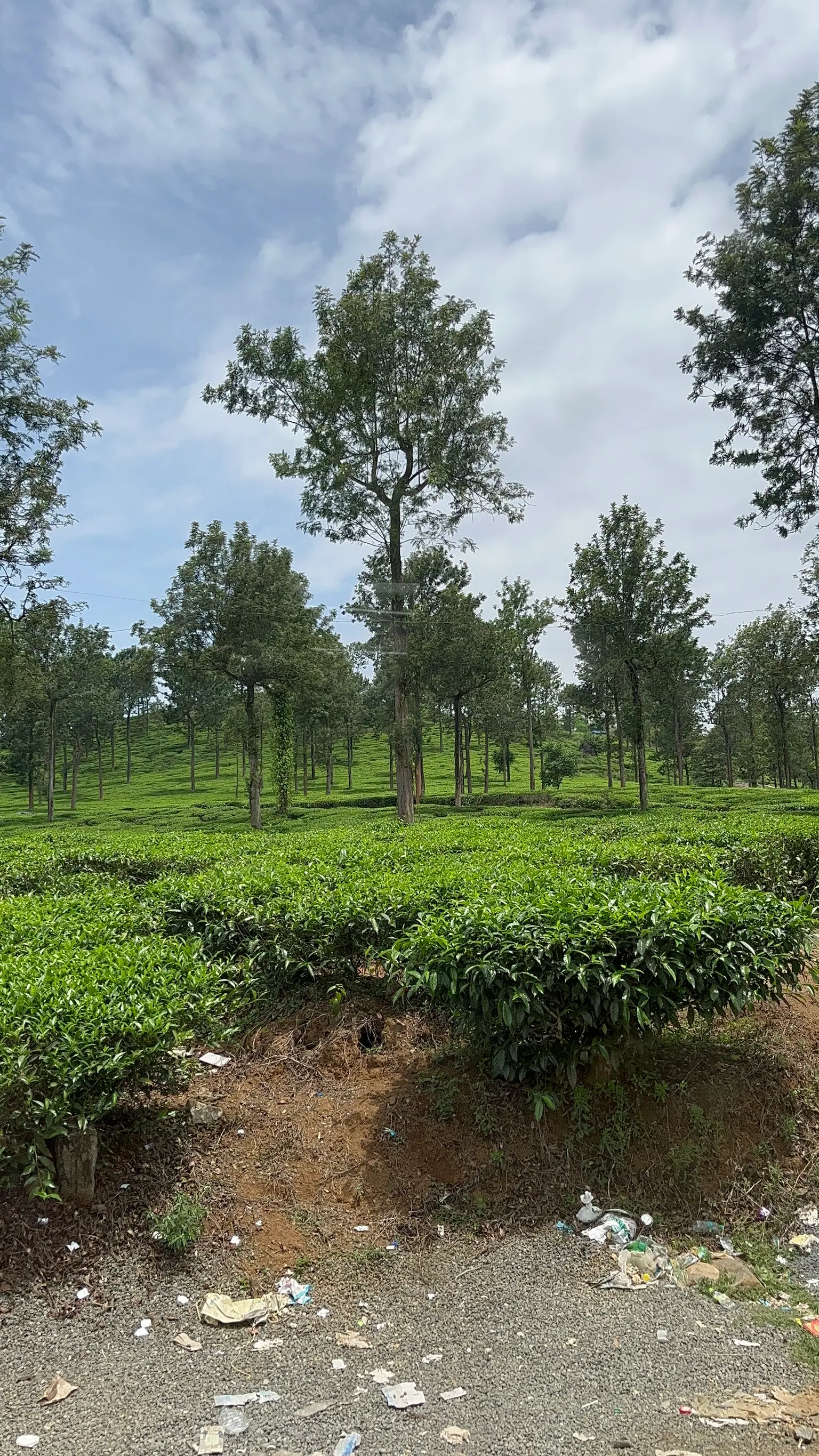 Photo from Pragati Pragati's trip