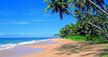 Zajsd3wy8xw7780dxlf0tqfr2rn0 1570450224 beachvolleyball srilanka strand