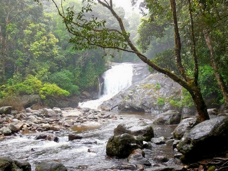 Arippara Waterfalls Overview