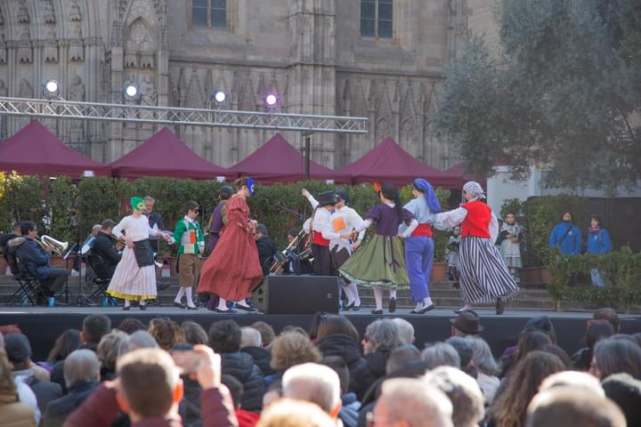 Cultural Event at Barcelona Cathedral