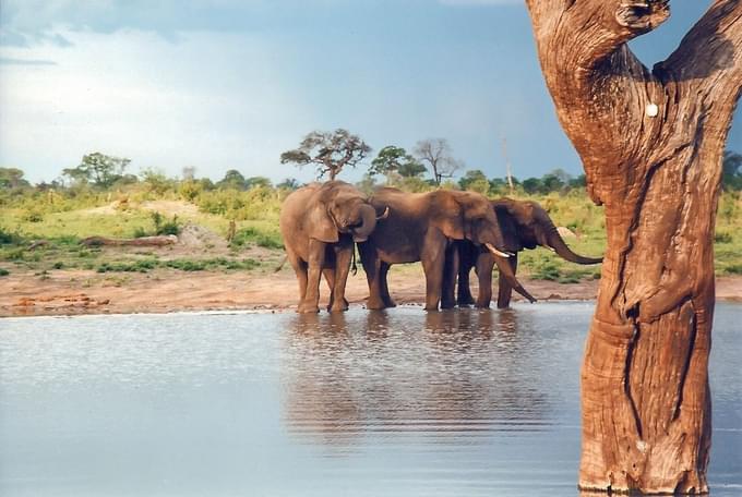 Hwange National Park.jpg