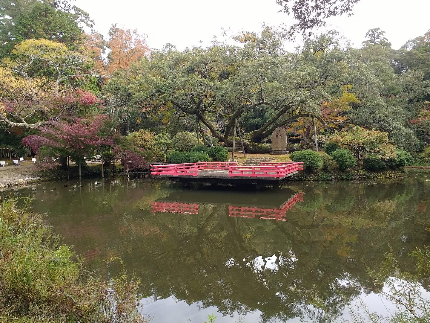 Take a stroll in Manyo Botanical Garden