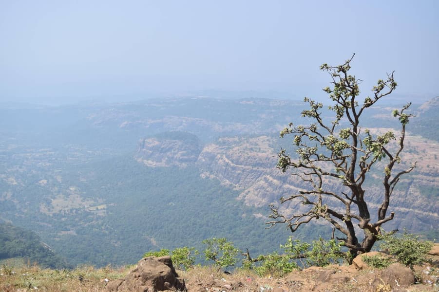 Lonavala Sightseeing Package Image