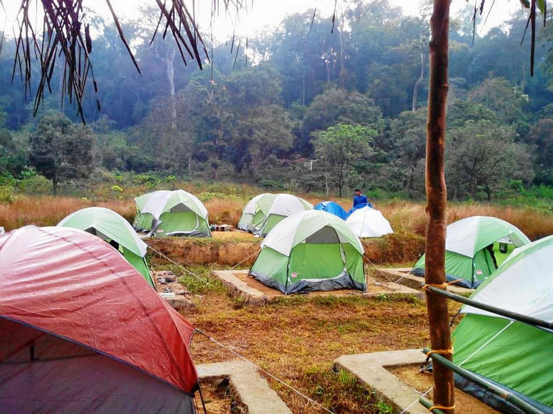 Camping in Madikeri Image