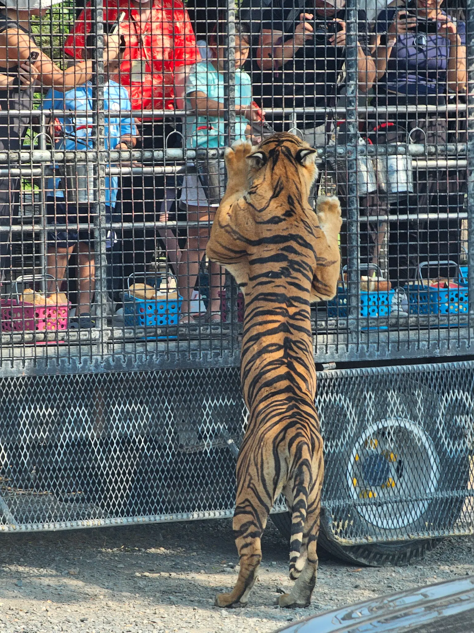Photo from Vignesh Kumar's trip