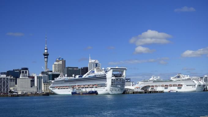 Auckland Cruise