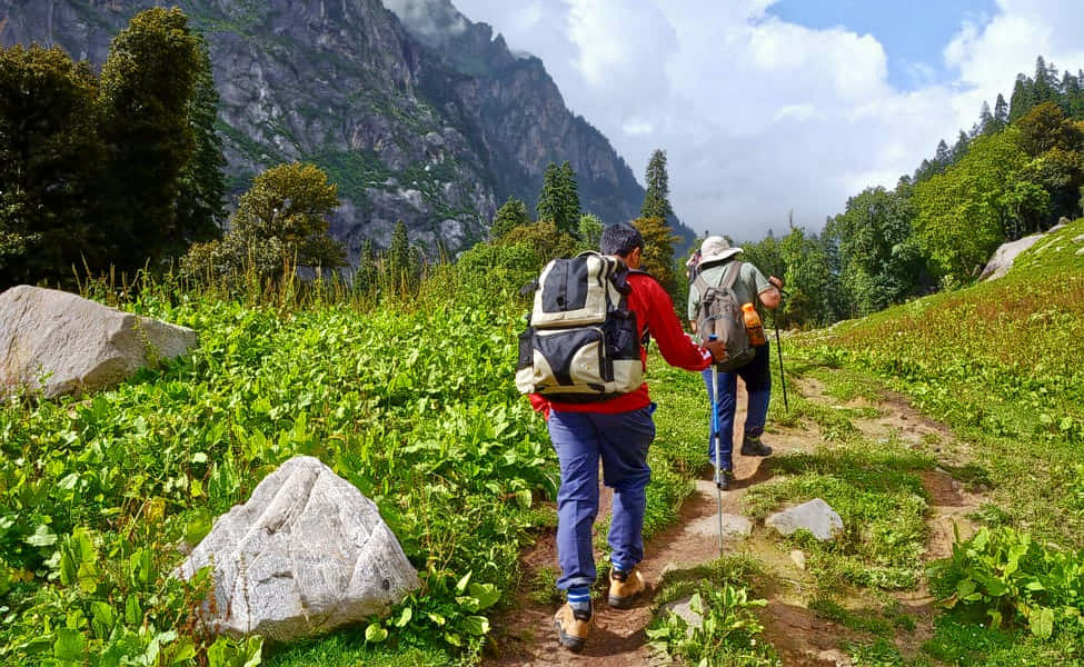 Deoban Trek Uttarakhand