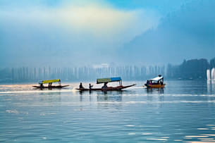 Zch8o46vlcawmenxb3sd9qowb9hg 1591962660 shutterstock 774669184