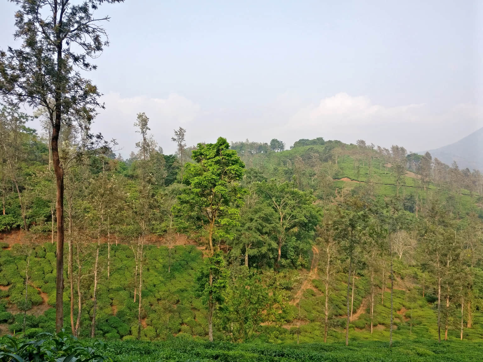 Photo from Deepak Sachdeva's trip