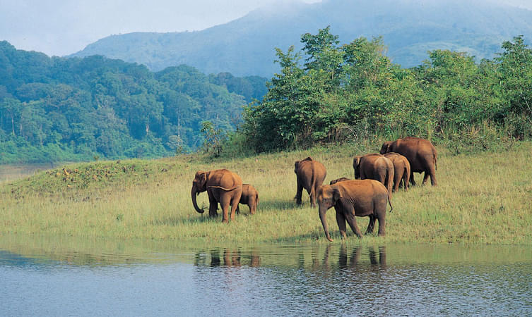 Periyar National Park