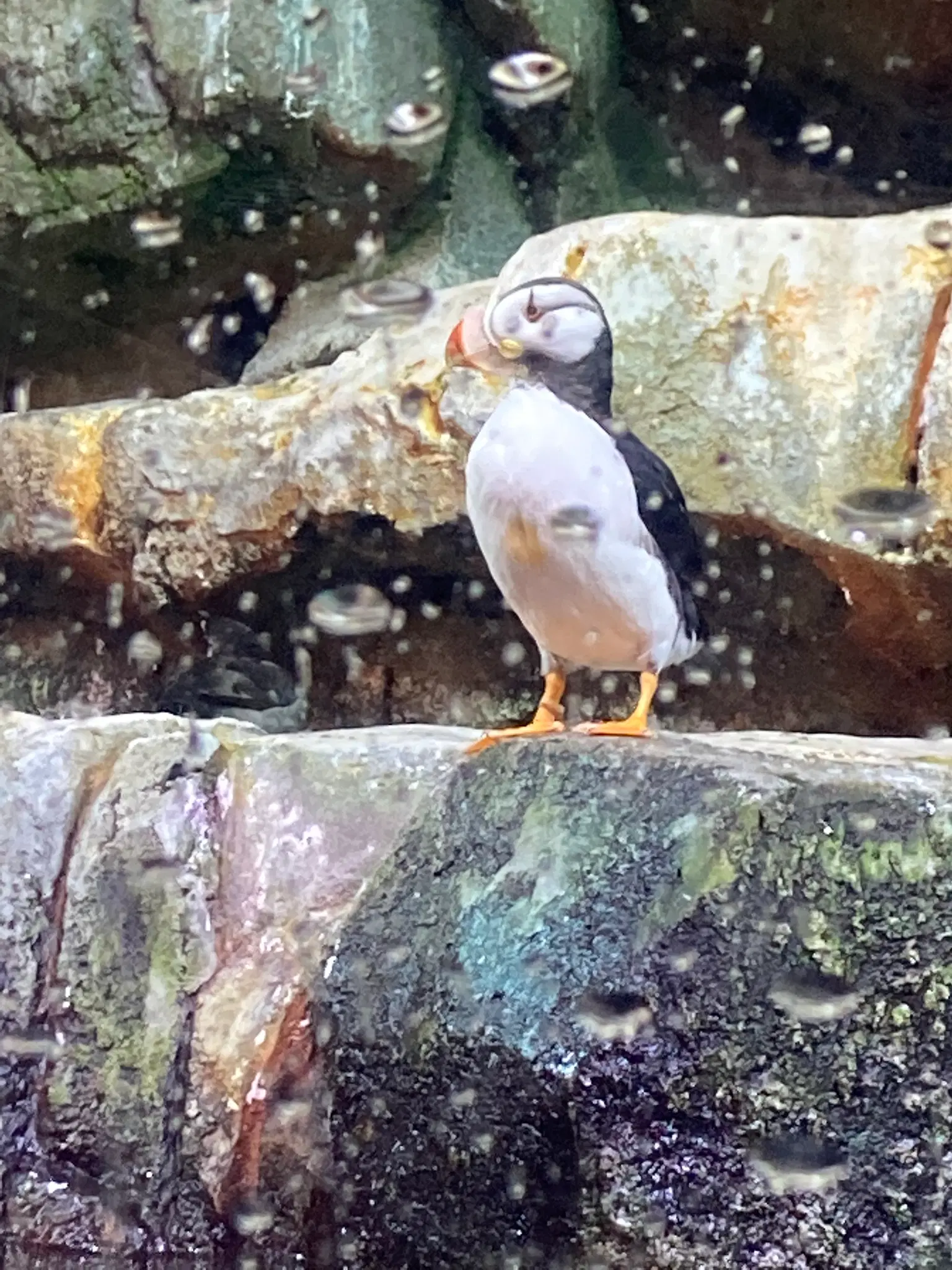 Photo from karen seegmiller's trip