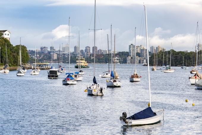 Jet Boat Sydney Harbour