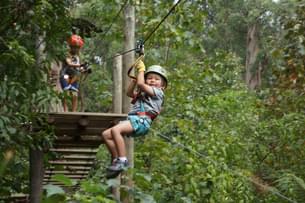 Visit Treetops Adventure Glen Harrow Park