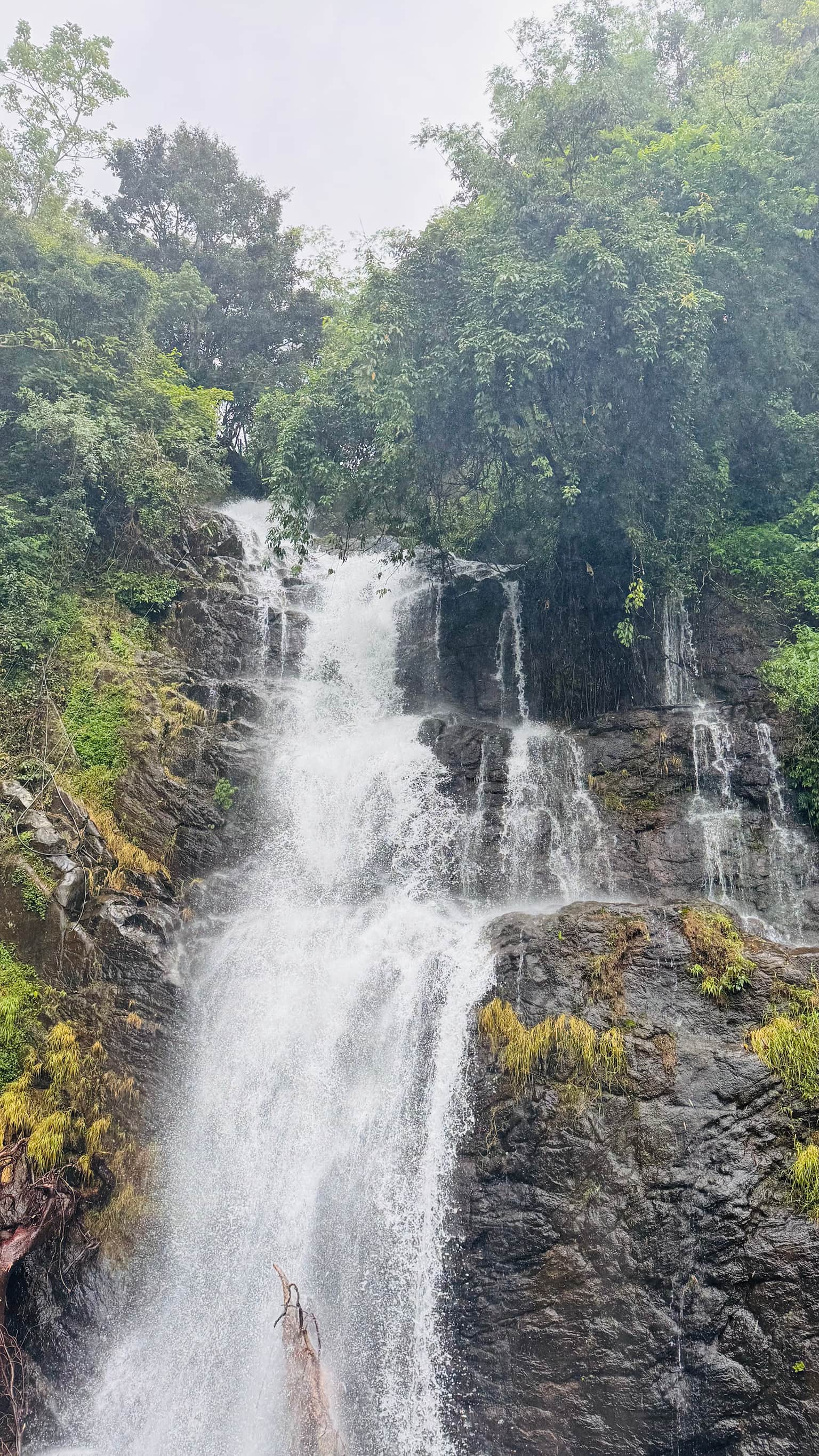 Photo from Anamika Kumari's trip