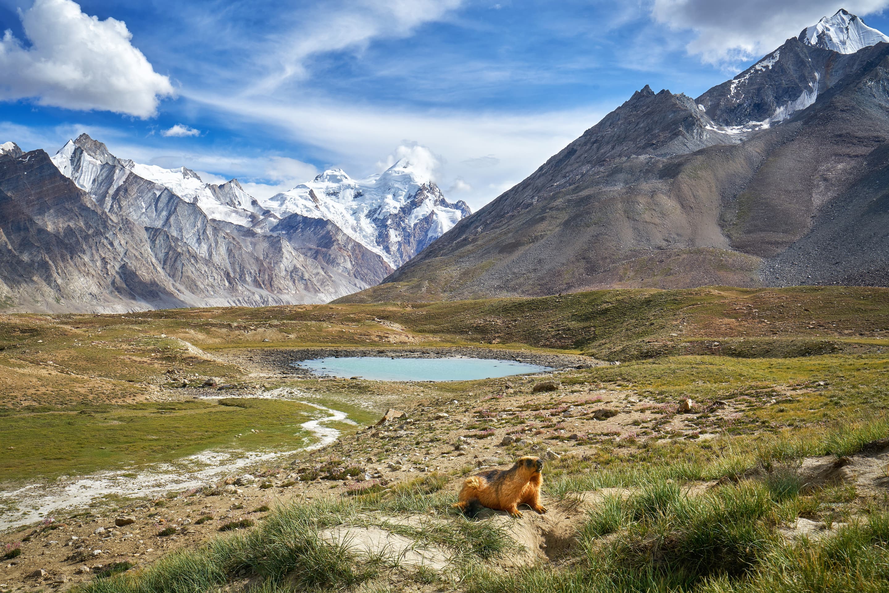 Activities to do in Ladakh