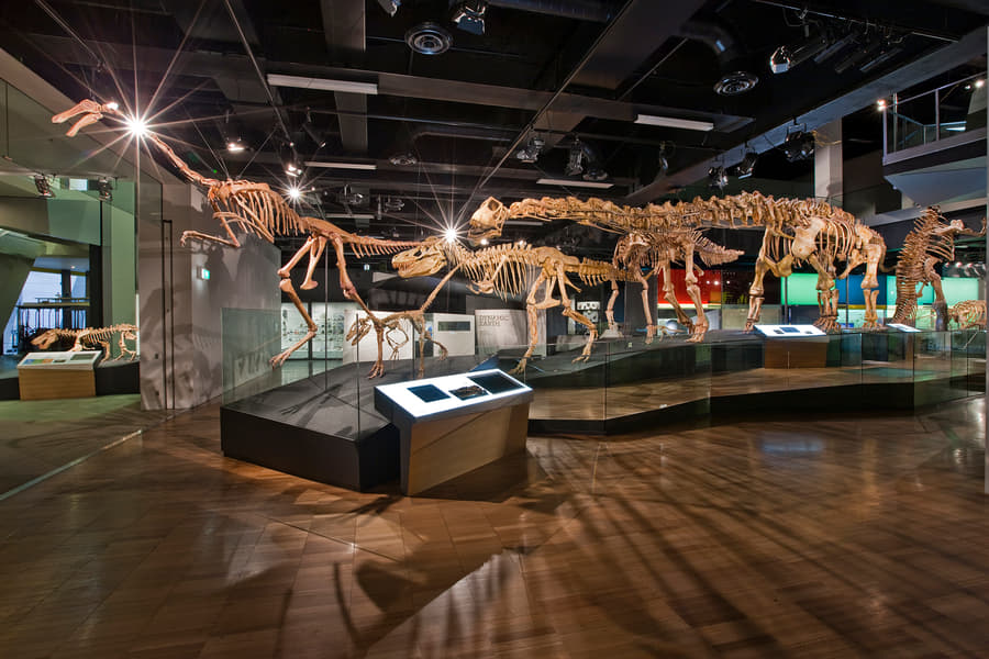 Melbourne Museum Admission Ticket Image