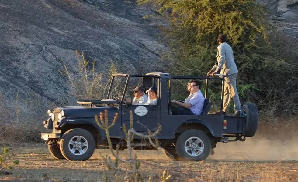 Wildlife Jeep Safari in Jawai Image