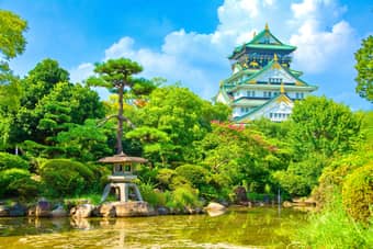 Japan Family Odyssey | From City Lights to Autumn Delights