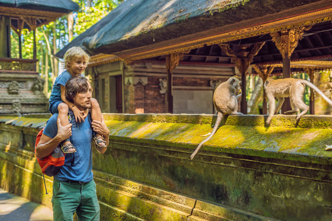 Start the Ubud sightseeing tour from Scared Monkey Forest
