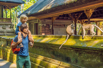 Start the Ubud sightseeing tour from Scared Monkey Forest