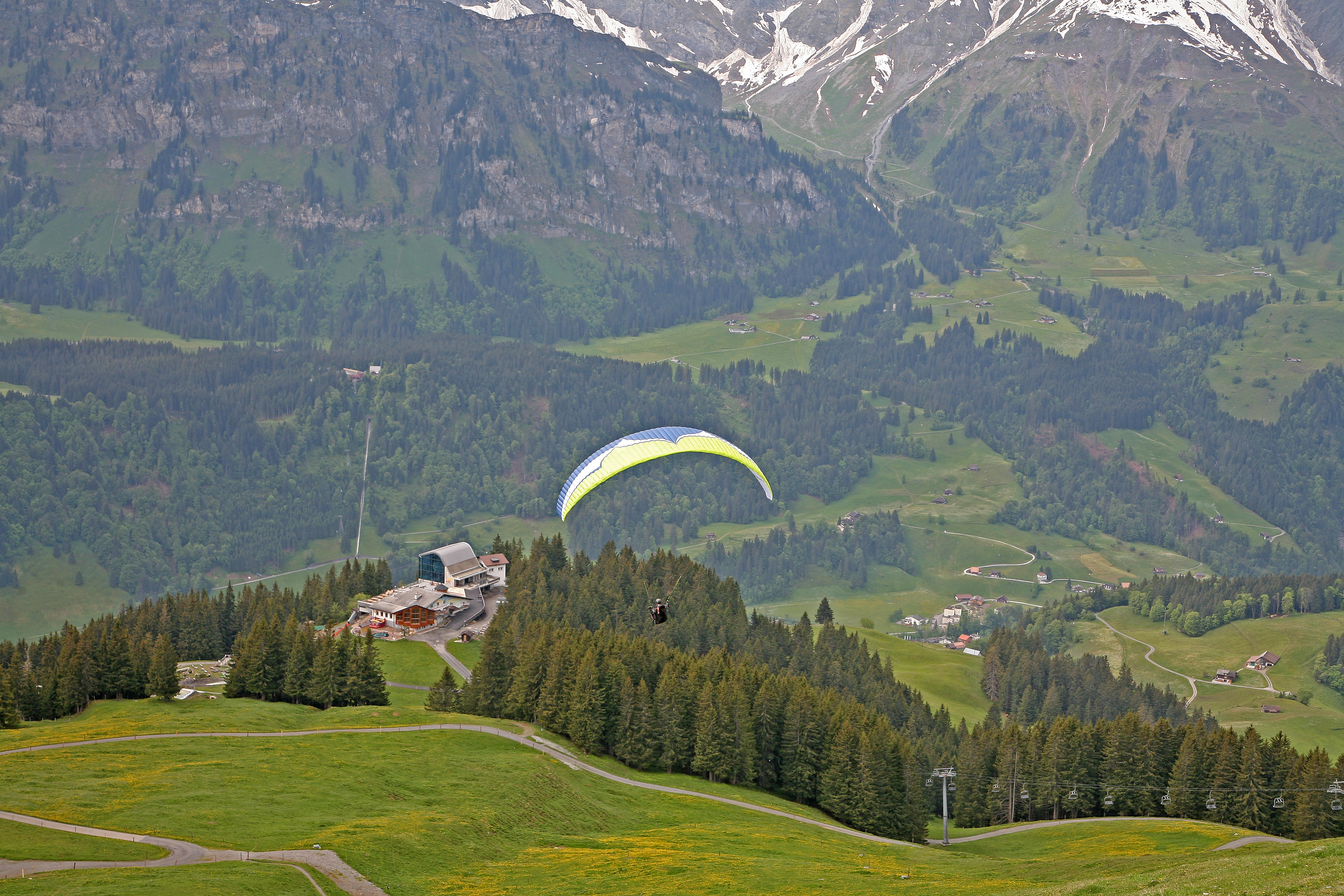 Paragliding in Grindelwald First