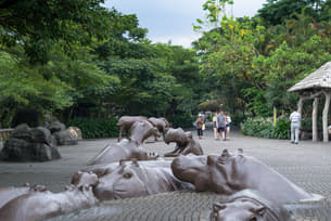 Zf2v67c0r6wmliwhqzoqwfwz4oko taipei%20zoo%203%20(1)