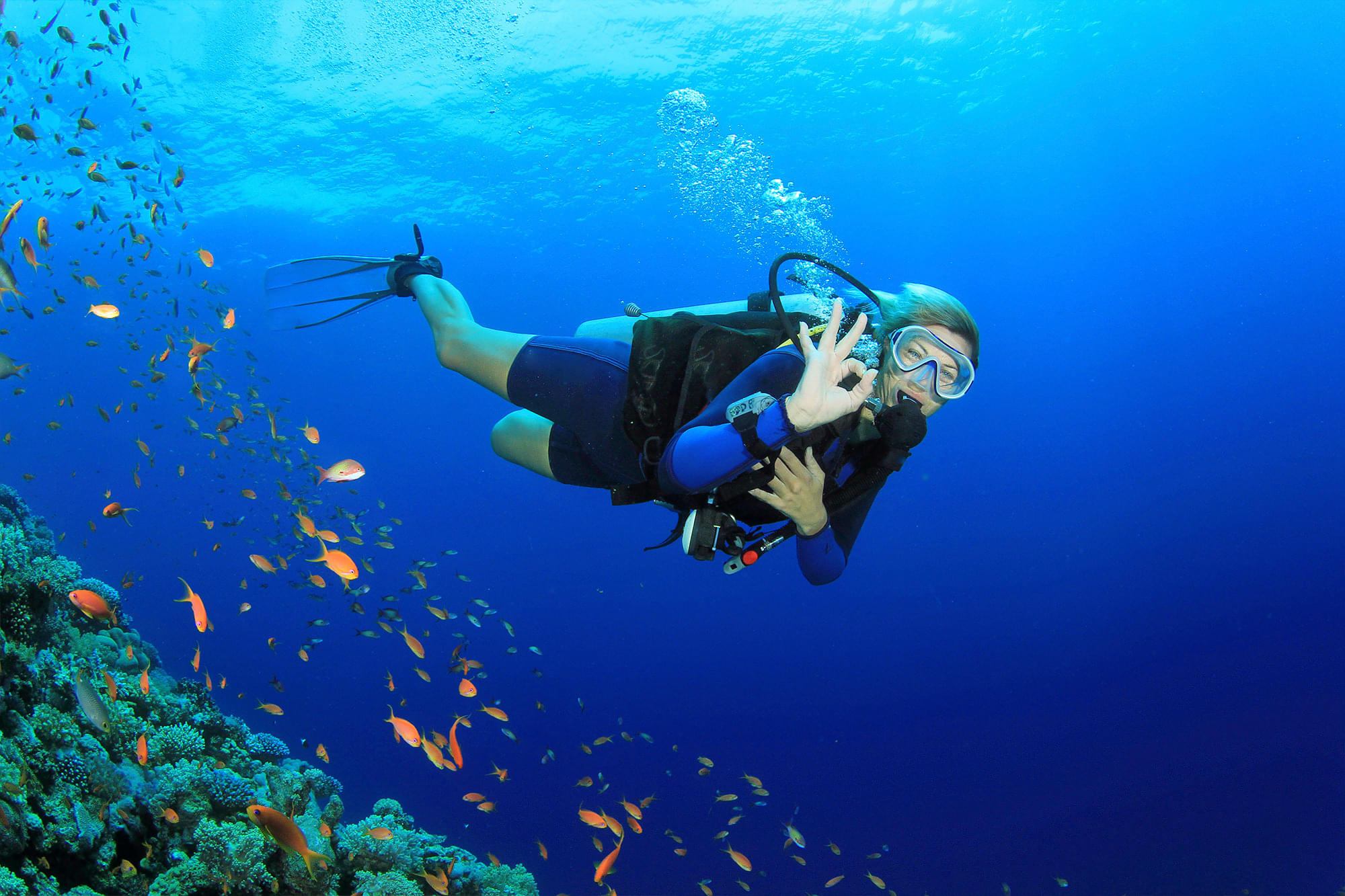 Scuba Diving, Havelock