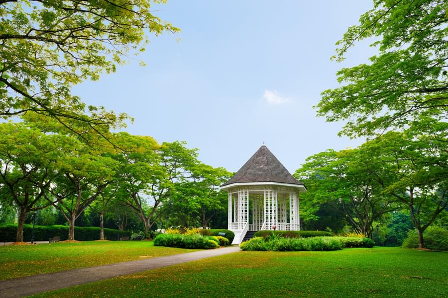 Enjoy Natural Splendour in the Singapore Botanic Gardens