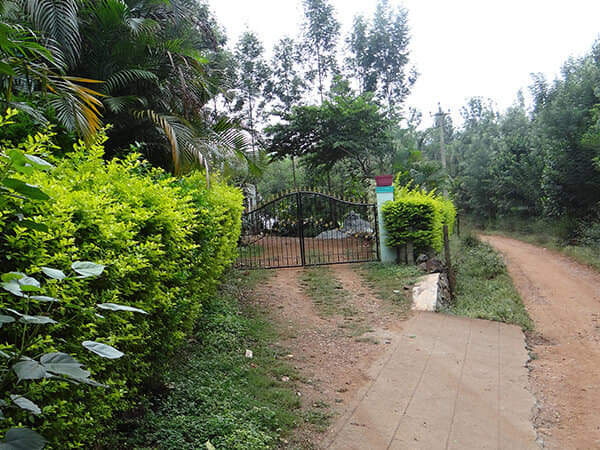 Bellichukki Homestay, Chikmagalur Image