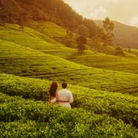 ooty-kodaikanal-munnar-tour-package