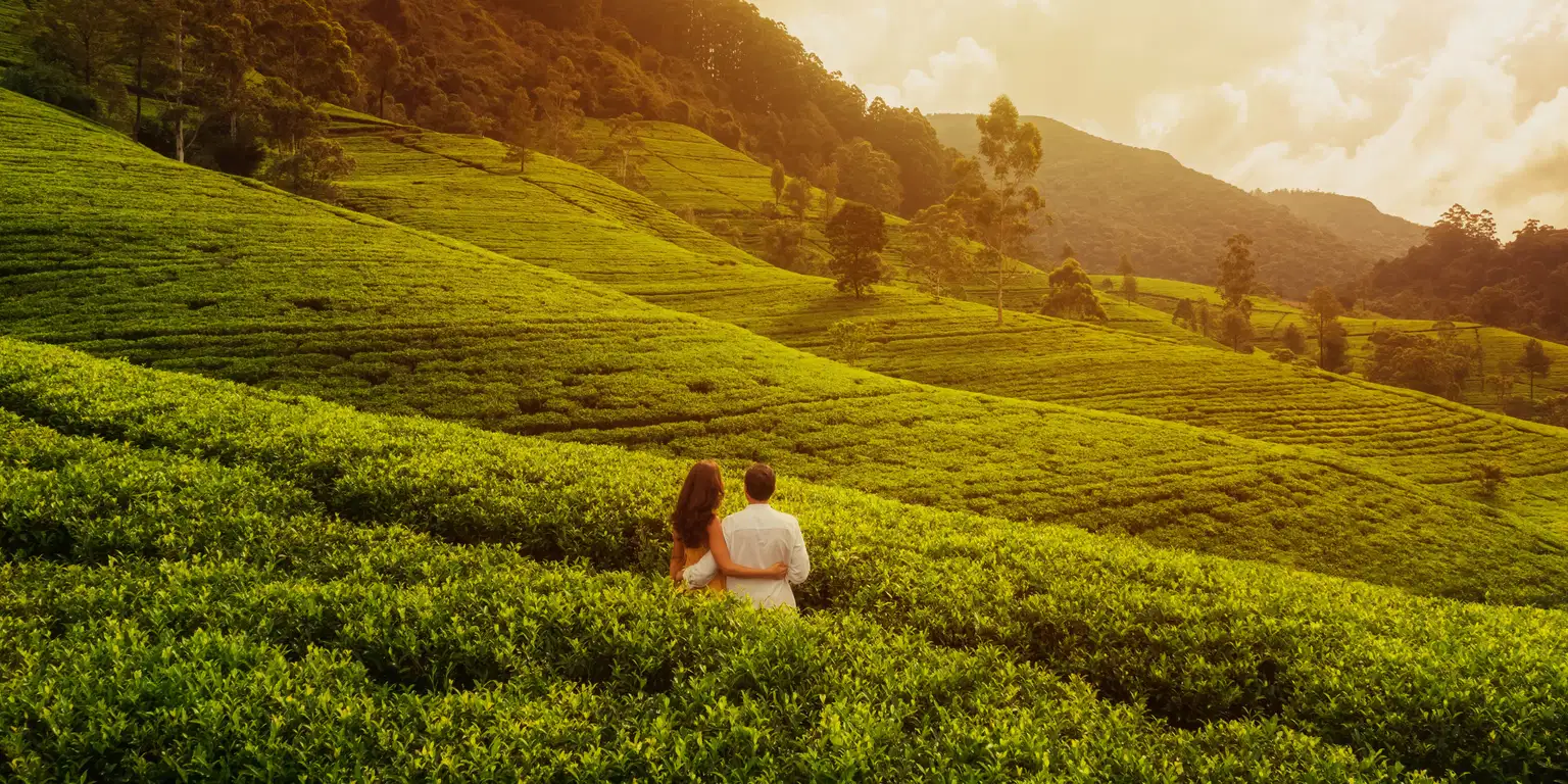 Ooty Coorg honeymoon tour | Romantic Tales amidst Mountain Trails