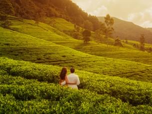 Couple enjoying the view of  Tea Plantation, Ooty