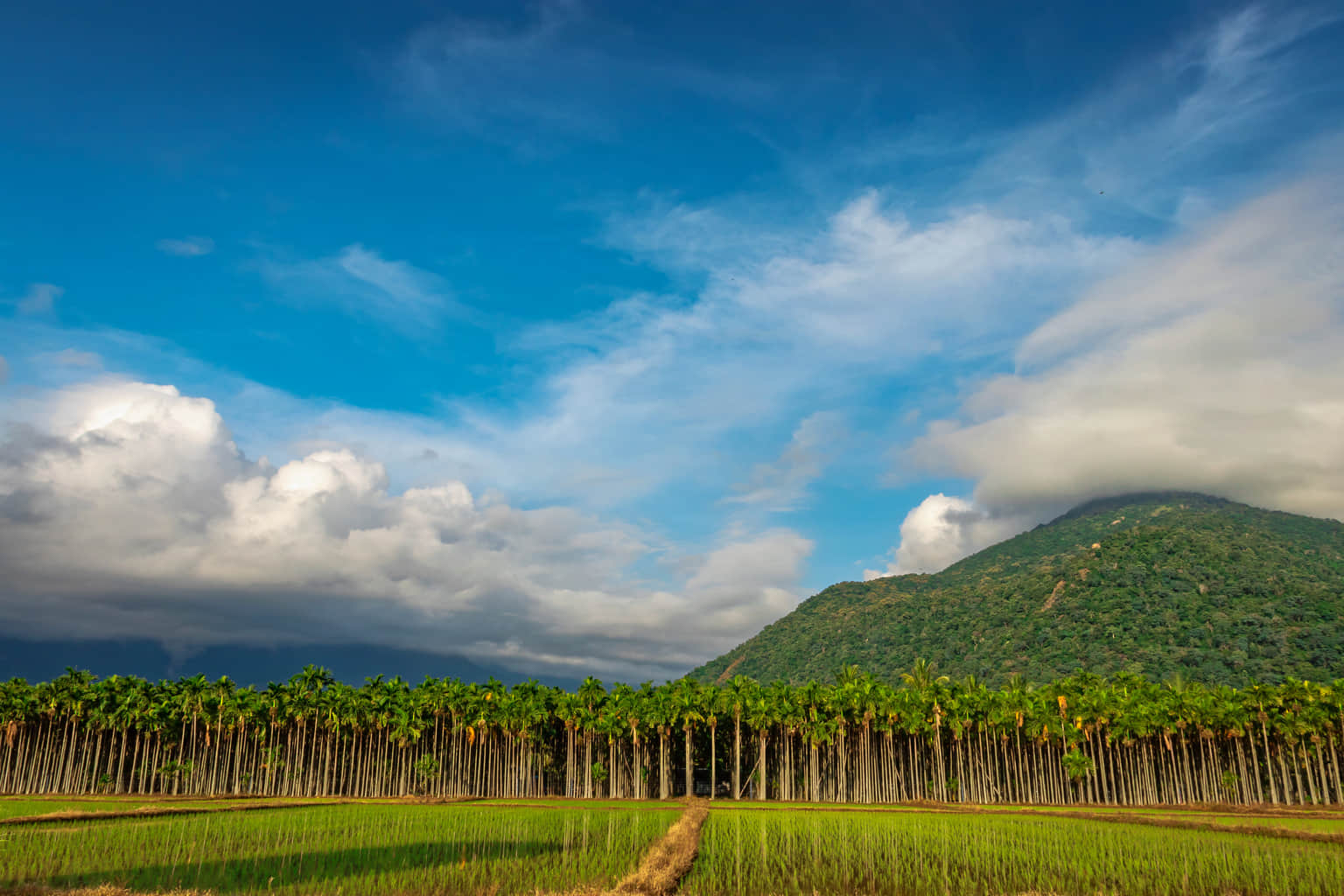 Velliangiri 