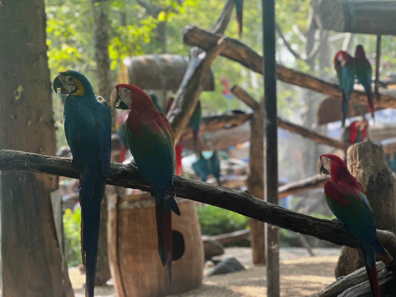 Photo from dhwani dhwani's trip