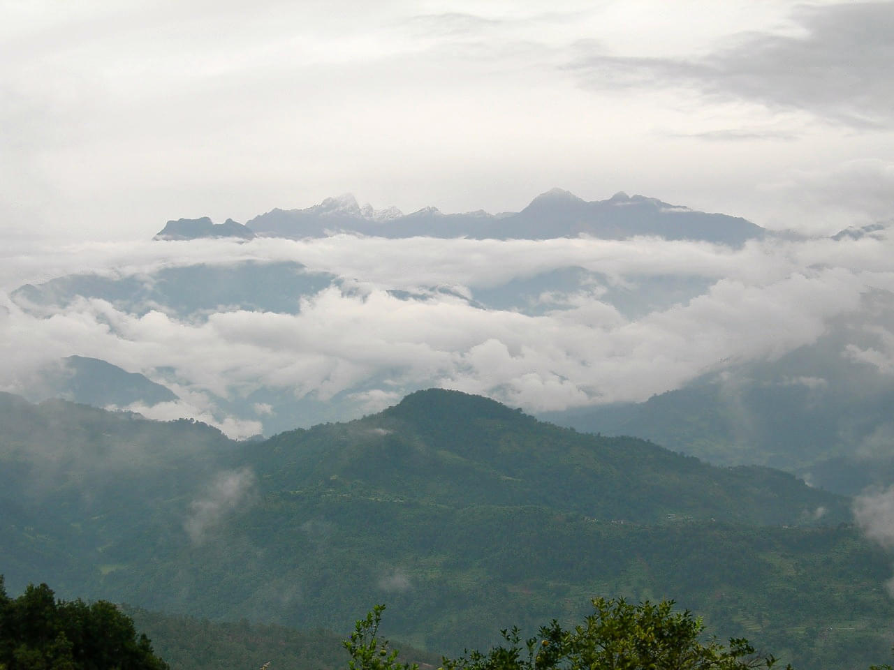 Forests Of Tinjure, Milke And Jaljale