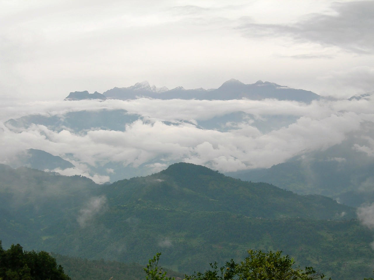 Forests Of Tinjure, Milke And Jaljale Overview