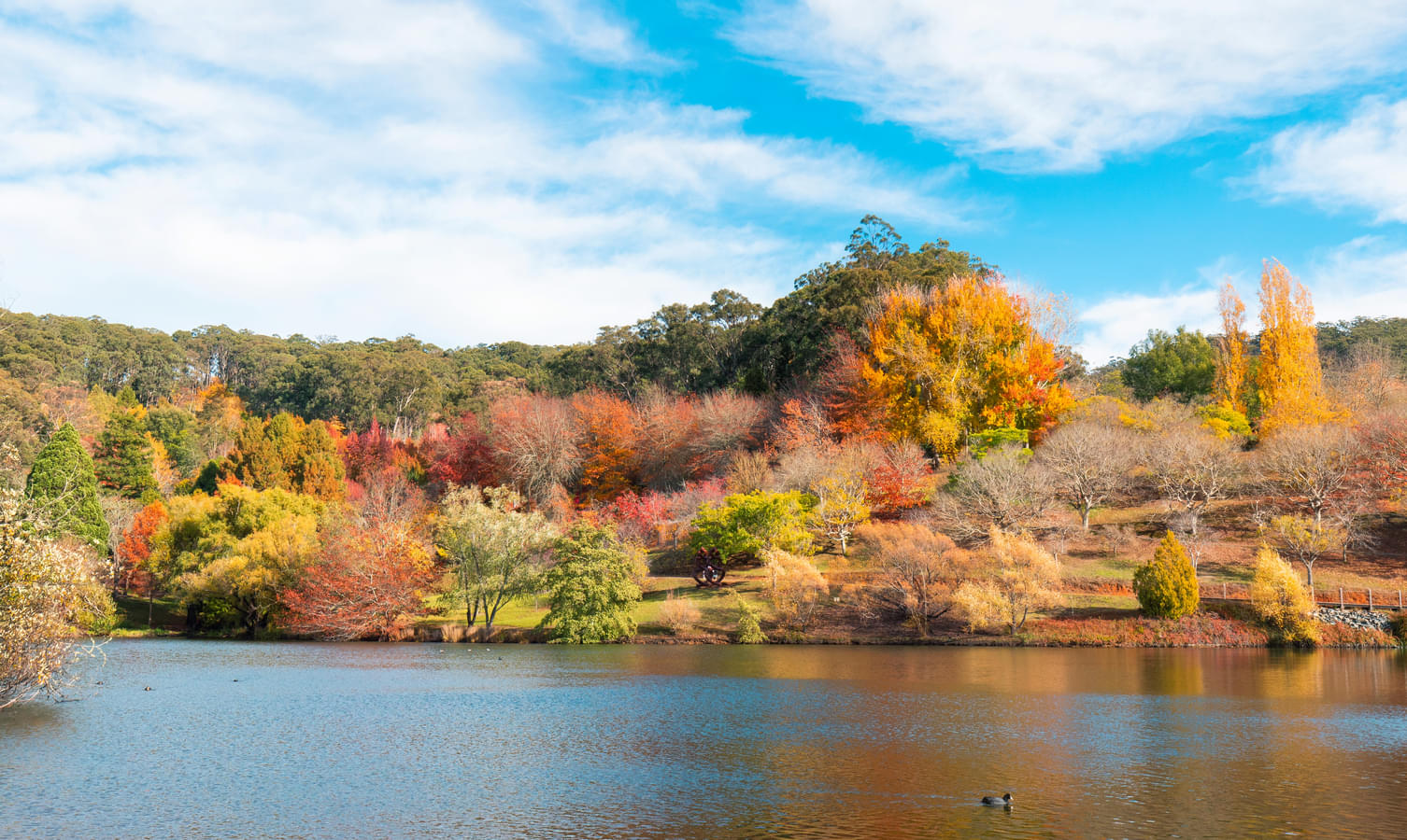 natural places to visit in adelaide