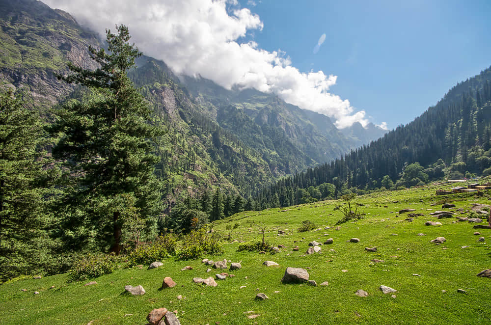 Green Valley, <em>Kufri</em>