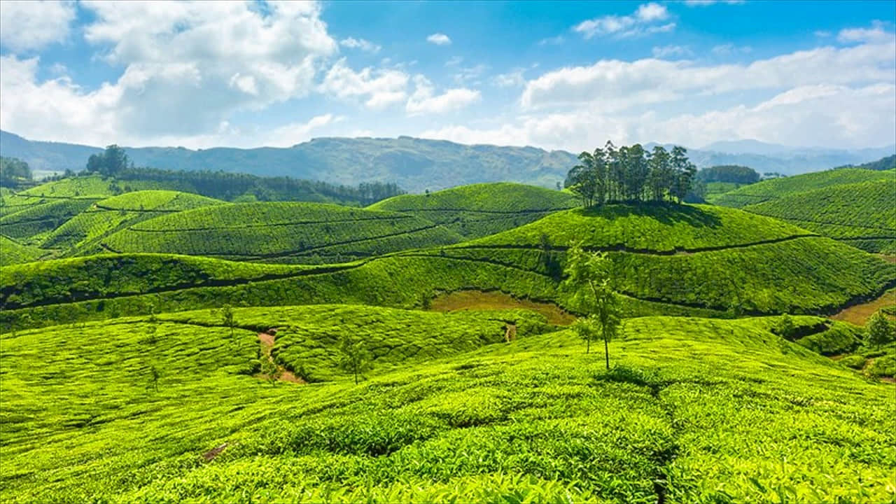 Ponmudi Hill Station, <em>Thiruvananthapuram</em>