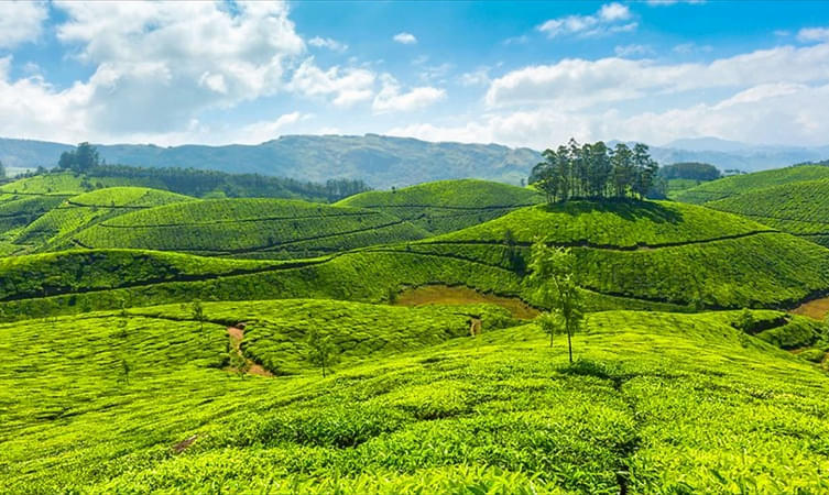 Ponmudi Hill Station