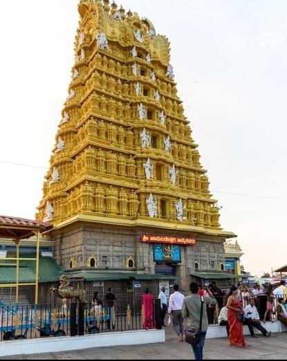 Explore the Majestic Gopuram