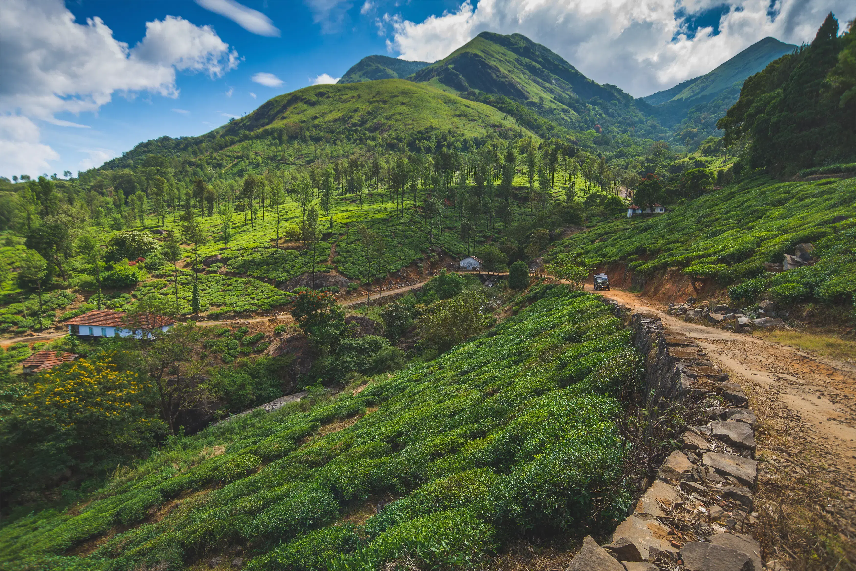 Chembra Peak in Wayanad