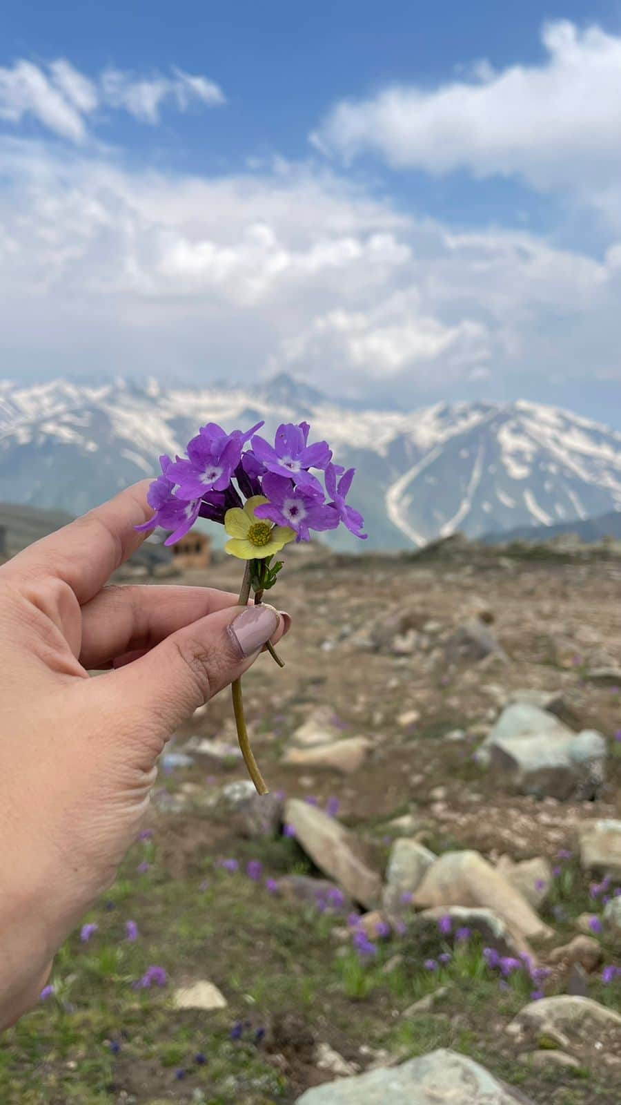 Photo from sanjyot usgaonker's trip