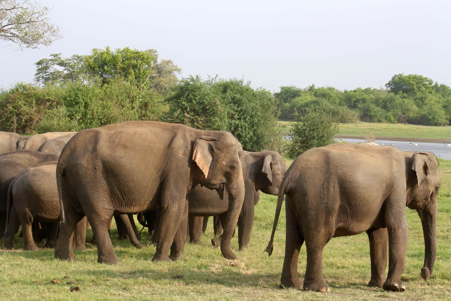 Gal Oya National Park