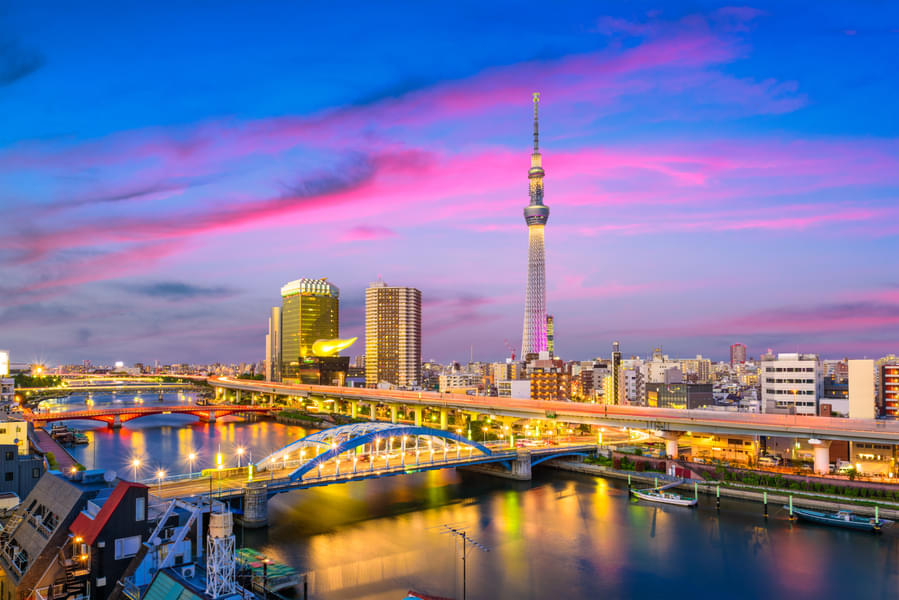 Tokyo Bay Sunset Cruise (The Symphony) Image