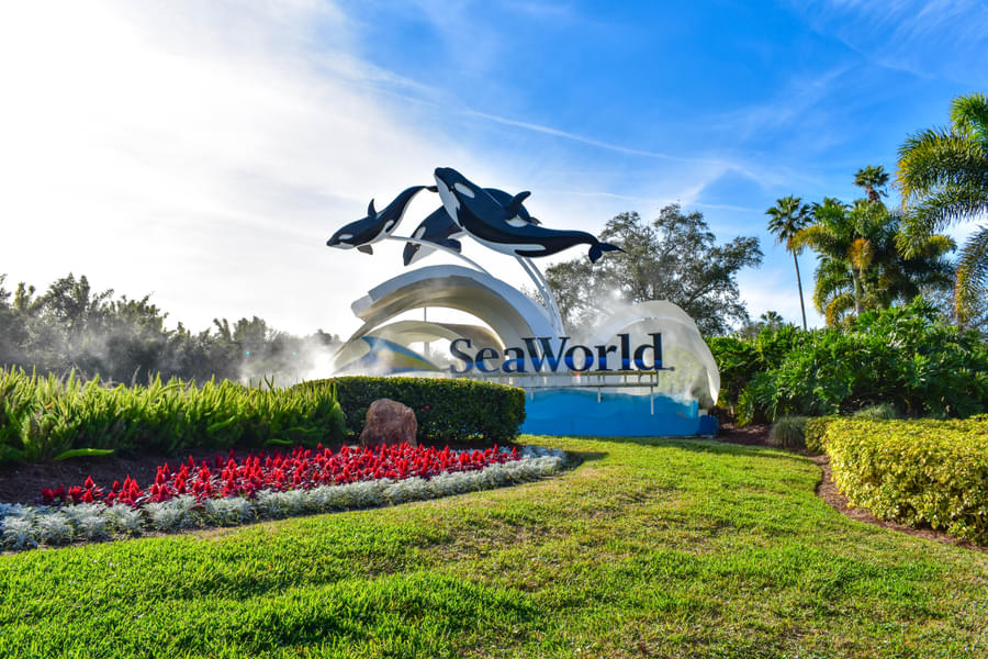 Visit Sea world Orlando for a fun-filled day