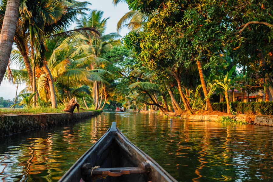Admire the tranquil beauty of Kerala's backwaters